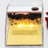 product image 1681198543 - Omoshiroi Block UK Store