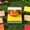 Phoenix 4 - Omoshiroi Block UK Store