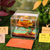 Phoenix 5 - Omoshiroi Block UK Store